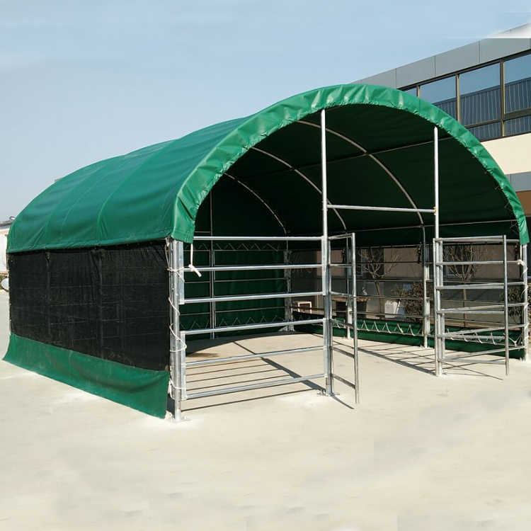 10m Prefabricated Steel Cowshed